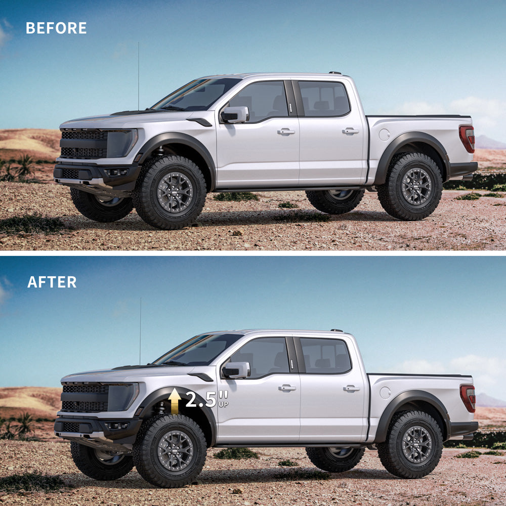 Richeer 2.5" Front Leveling Kit for Ford and Lincoln(F150, Mark LT)