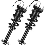 Richeer Front Strut Assembly Compatible With 2021-2024 Escalade Tahoe Yukon