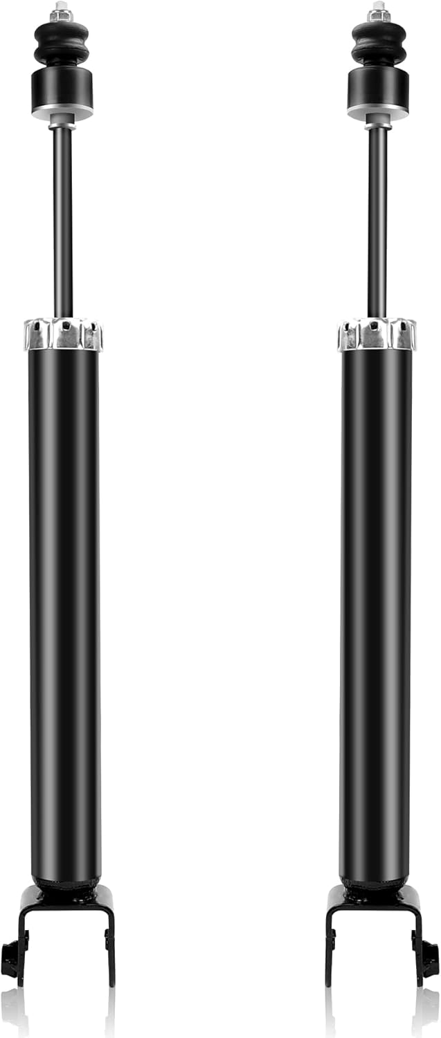 Richeer Rear 2 PCS Strut Assembly, Shock Absorber Front with 2007-2018 Altima