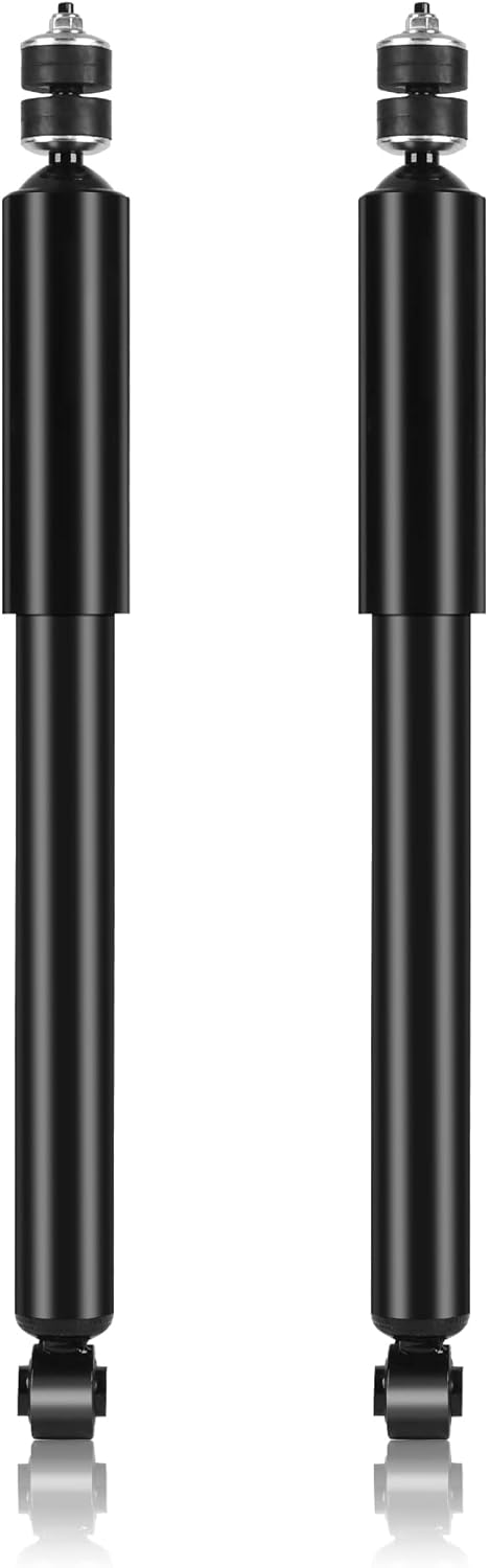 Richeer 5609 Rear 2 PCS Strut Assembly, Shock Absorber Front with 2006-2011 Civic