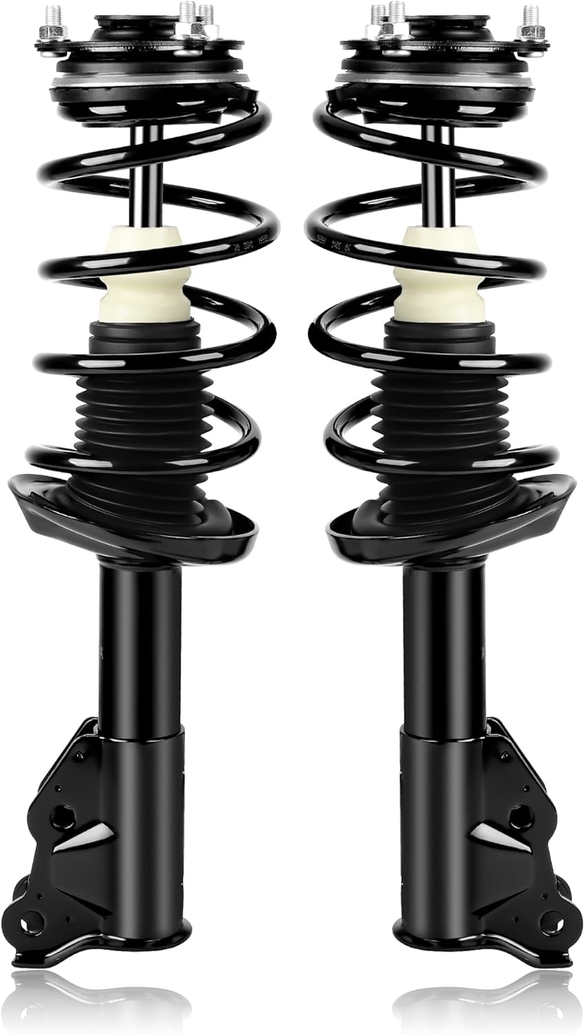 Richeer 172286 Front 2 PCS Strut Assembly Compatible with 2006-2011 Civic