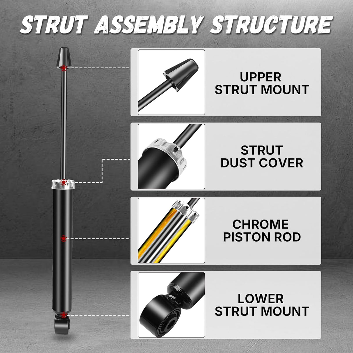 Richeer Rear 2 PCS Strut Assembly with 2006-2013 AUDI/VOLKSWAGEN A4 Quattro