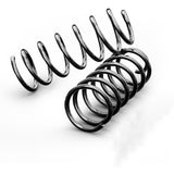 Richeer Heavy Duty Rear Coil Springs Compatible with 2019-2025 Ram 1500 2WD 4WD