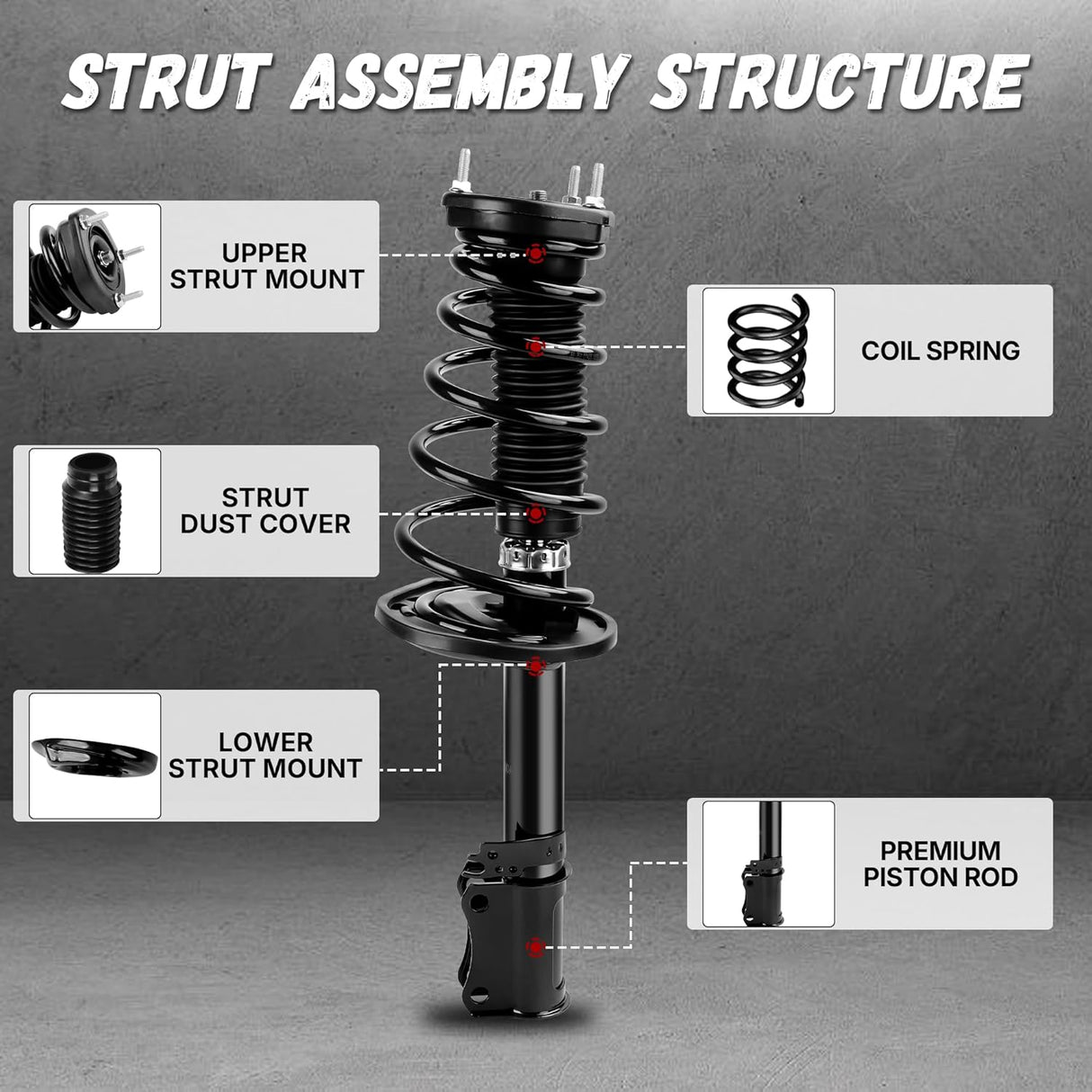 Richeer Rear 2 PCS Strut Assembly Shock Absorber Front (2007-2011 Camry)