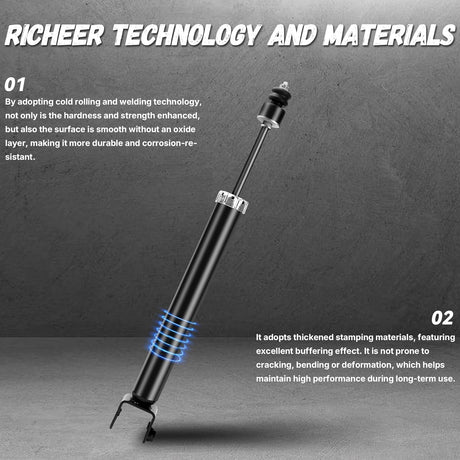 Richeer Rear 2 PCS Strut Assembly, Shock Absorber Front with 2007-2018 Altima