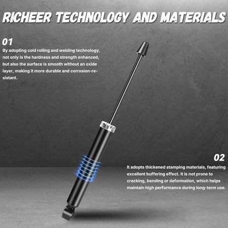 Richeer Rear 2 PCS Strut Assembly with 2006-2013 AUDI/VOLKSWAGEN A4 Quattro