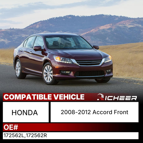 Richeer Front 2 PCS Struts shocks Assembly Compatible with 2008-2012 Accord